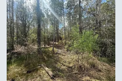 Green Willow Run #LOT 759, Wesley Chapel, FL 33544 - Photo 5