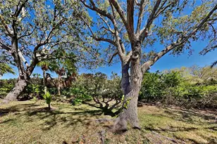 6805 Winslow St, Sarasota, FL 34243 - Photo 13