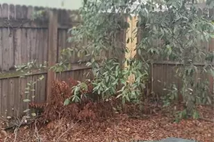 3718 19th Ave S, Saint Petersburg, FL 33711 - Photo 19