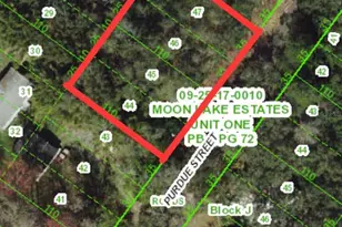 11801 Purdue St, New Port Richey, FL 34654 - Photo 1