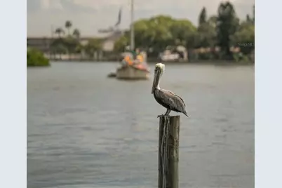 266 44th Avenue, Saint Pete Beach, FL 33706 - Photo 19