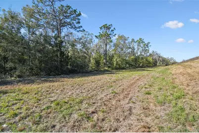 14420 Bailey Hill Road, Brooksville, FL 34614 - Photo 3