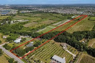 11716 Cr 672 Hwy, Riverview, FL 33579 - Photo 13