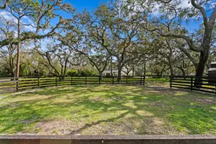 10101 Tarpon Springs Rd, Odessa, FL 33556 - Photo 25