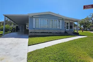 30 Stag Run Ct, Safety Harbor, FL 34695 - Photo 1