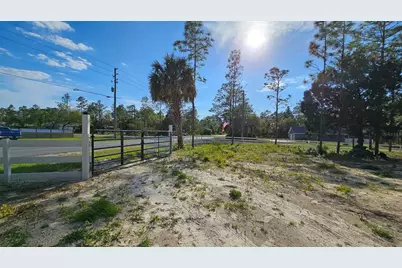 10379 Thrasher Avenue, Weeki Wachee, FL 34614 - Photo 7