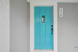 3710 W Griflow St, Tampa, FL 33629 - Photo 7