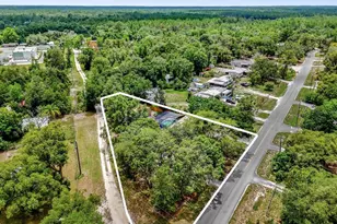 31632 Spruce Dr, Eustis, FL 32736 - Photo 23