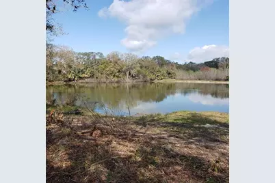 Virginia Avenue, Tarpon Springs, FL 34689 - Photo 9