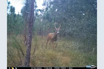 01 Unnamed, Spring Hill, FL 34610 - Photo 7