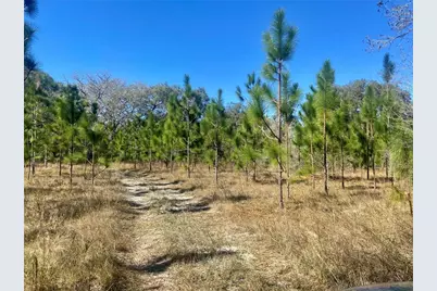 01 Unnamed, Spring Hill, FL 34610 - Photo 1