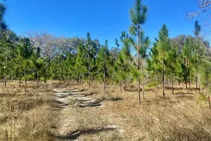 01 Unnamed, Spring Hill, FL 34610 - Photo 1