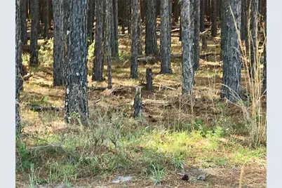 01 Unnamed, Spring Hill, FL 34610 - Photo 33