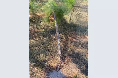 01 Unnamed, Spring Hill, FL 34610 - Photo 67