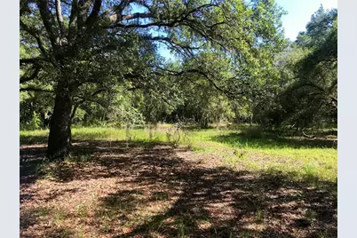 01 Unnamed, Spring Hill, FL 34610 - Photo 5