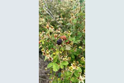 01 Unnamed, Spring Hill, FL 34610 - Photo 27