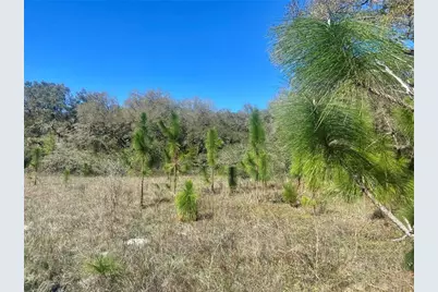 01 Unnamed, Spring Hill, FL 34610 - Photo 61