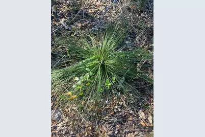 01 Unnamed, Spring Hill, FL 34610 - Photo 71