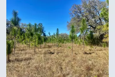 01 Unnamed, Spring Hill, FL 34610 - Photo 67
