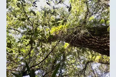 01 Unnamed, Spring Hill, FL 34610 - Photo 65