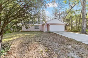 39832 N Hibiscus Way, Lady Lake, FL 32159 - Photo 39