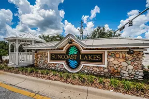 15925 Pond Rush Ct, Land O Lakes, FL 34638 - Photo 85