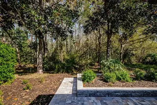 15925 Pond Rush Ct, Land O Lakes, FL 34638 - Photo 41