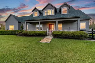 19530 Barrie Acres Trail, Odessa, FL 33556 - Photo 9