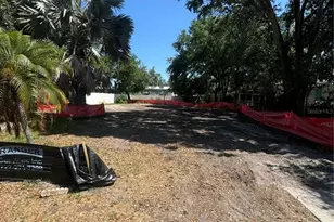 3319 W Marlin Ave, Tampa, FL 33611 - Photo 3