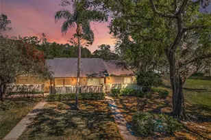 1333 Shady Pine Way, Tarpon Springs, FL 34688 - Photo 3