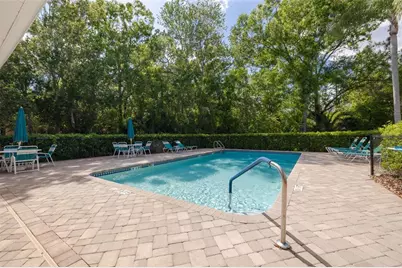 4206 Preserve Place, Palm Harbor, FL 34685 - Photo 27