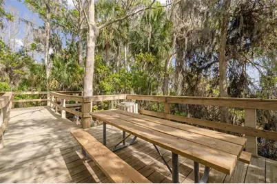 4206 Preserve Place, Palm Harbor, FL 34685 - Photo 43