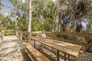 4206 Preserve Pl, Palm Harbor, FL 34685 - Photo 43