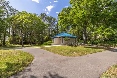 4206 Preserve Place, Palm Harbor, FL 34685 - Photo 49