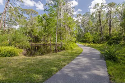 4206 Preserve Place, Palm Harbor, FL 34685 - Photo 47