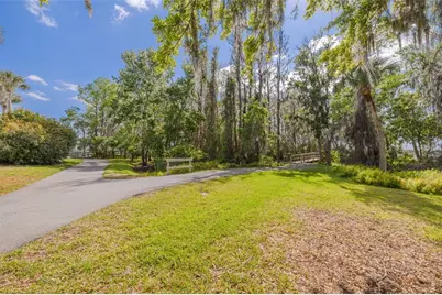 4206 Preserve Place, Palm Harbor, FL 34685 - Photo 39