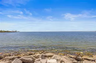 5000 Culbreath Key Way, Tampa, FL 33611 - Photo 45