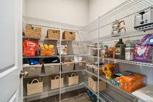 33500 Castaway Loop, Wesley Chapel, FL 33543 - Photo 27