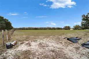 17273 Alderman Turner Rd, Wimauma, FL 33598 - Photo 59