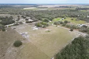 17273 Alderman Turner Rd, Wimauma, FL 33598 - Photo 9