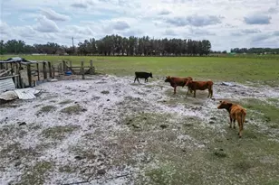 17273 Alderman Turner Rd, Wimauma, FL 33598 - Photo 35