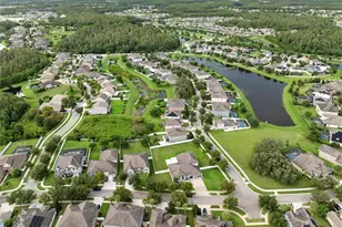 19214 Early Violet Dr NE, Tampa, FL 33647 - Photo 33