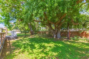 6426 31st St S, Saint Petersburg, FL 33712 - Photo 31