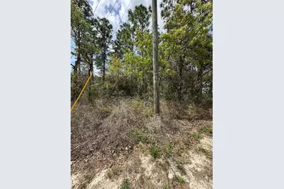 2 Fringetree Court, Homosassa, FL 34446 - Photo 5