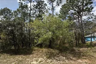 2 Fringetree Ct, Homosassa, FL 34446 - Photo 1