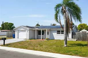 3207 Coldwell Dr, Holiday, FL 34691 - Photo 5