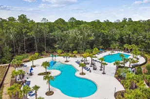 16822 Balance Cv, Land O Lakes, FL 34638 - Photo 79