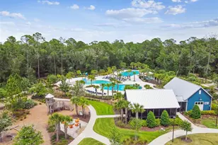 16822 Balance Cv, Land O Lakes, FL 34638 - Photo 87