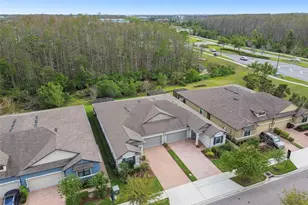 16822 Balance Cv, Land O Lakes, FL 34638 - Photo 45