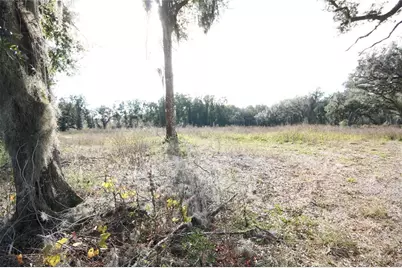 Us Hwy 301 Tbd, Citra, FL 32113 - Photo 27